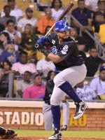 Tigres del Licey on X: Anunciamos oficialmente la contratación